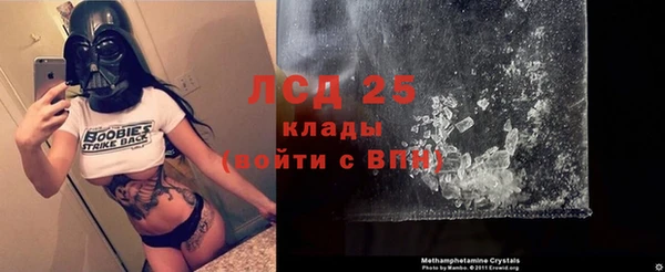 кокс Нея