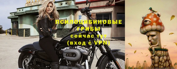 трава Нефтекумск