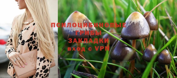 прущая мука Навашино