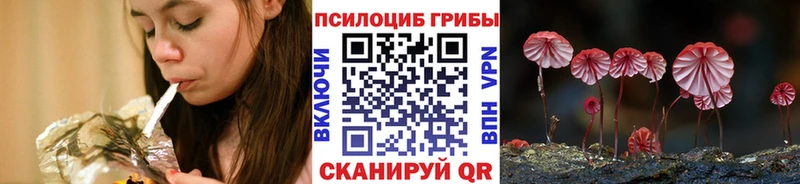 Галлюциногенные грибы мицелий  mega как зайти  Новопавловск  что такое  